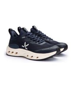 Alternative view of DASH ERA