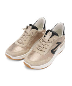 Alternative view of GARDA