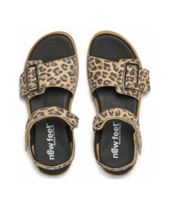 Alternative view of 211-13-9535