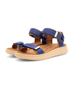 Alternative view of LINE