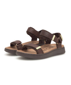 Alternative view of LINE FISH