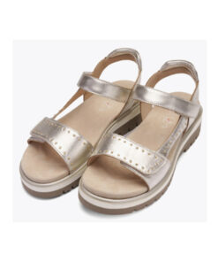 Alternative view of MALAGA-S