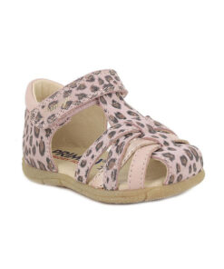 Alternative view of CIPRIA